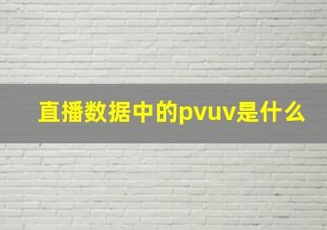 直播数据中的pvuv是什么