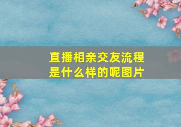 直播相亲交友流程是什么样的呢图片