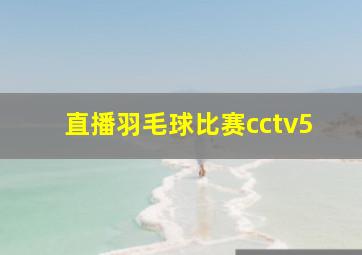 直播羽毛球比赛cctv5