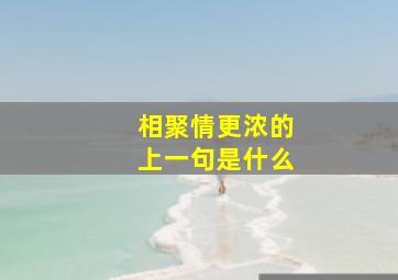 相聚情更浓的上一句是什么