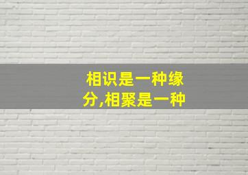 相识是一种缘分,相聚是一种