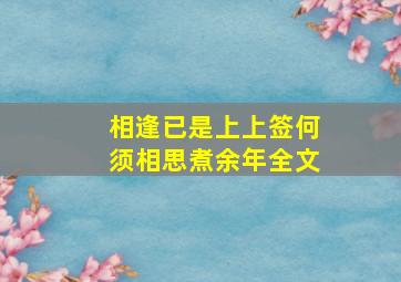 相逢已是上上签何须相思煮余年全文