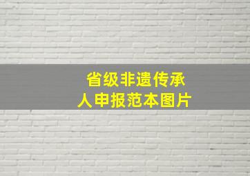 省级非遗传承人申报范本图片