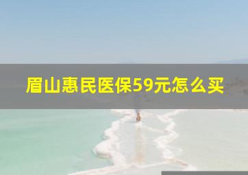 眉山惠民医保59元怎么买