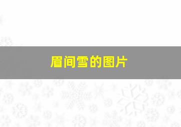 眉间雪的图片