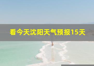 看今天沈阳天气预报15天