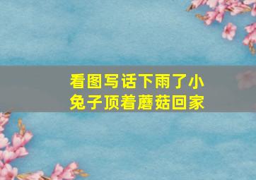 看图写话下雨了小兔子顶着蘑菇回家