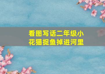 看图写话二年级小花猫捉鱼掉进河里