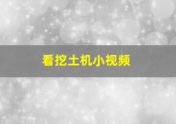 看挖土机小视频