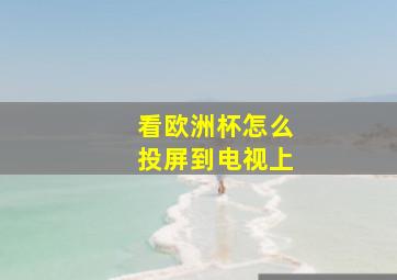 看欧洲杯怎么投屏到电视上