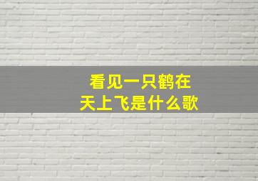 看见一只鹤在天上飞是什么歌