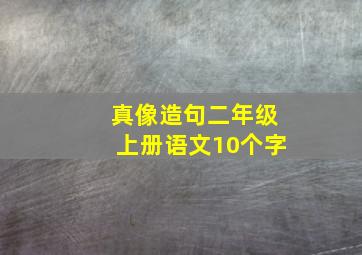 真像造句二年级上册语文10个字