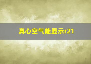 真心空气能显示r21