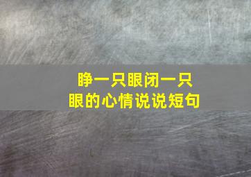 睁一只眼闭一只眼的心情说说短句