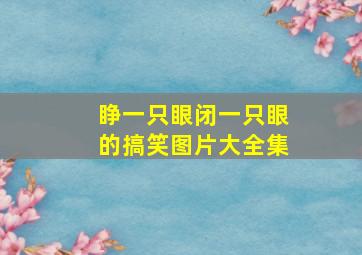 睁一只眼闭一只眼的搞笑图片大全集