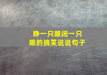 睁一只眼闭一只眼的搞笑说说句子