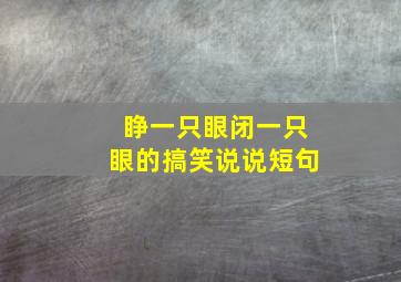 睁一只眼闭一只眼的搞笑说说短句