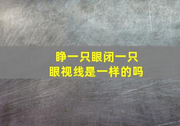 睁一只眼闭一只眼视线是一样的吗