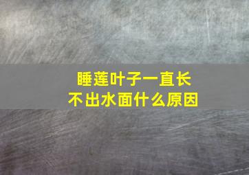 睡莲叶子一直长不出水面什么原因