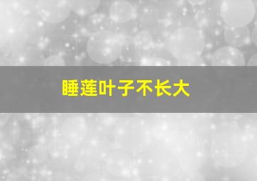 睡莲叶子不长大