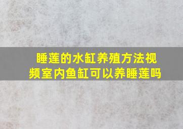 睡莲的水缸养殖方法视频室内鱼缸可以养睡莲吗