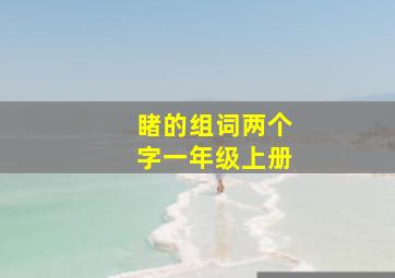 睹的组词两个字一年级上册