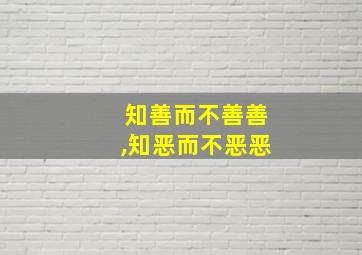 知善而不善善,知恶而不恶恶