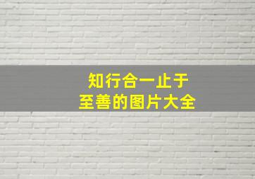 知行合一止于至善的图片大全