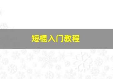 短棍入门教程