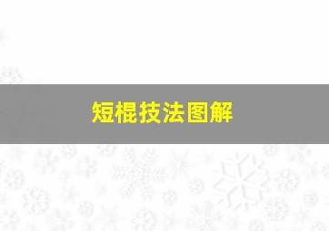 短棍技法图解