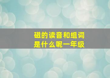 磁的读音和组词是什么呢一年级