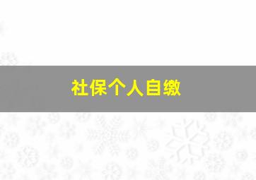 社保个人自缴