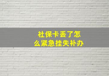 社保卡丢了怎么紧急挂失补办