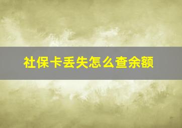 社保卡丢失怎么查余额