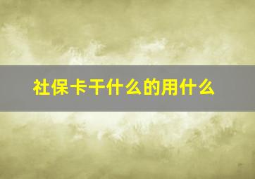 社保卡干什么的用什么