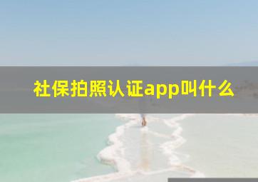 社保拍照认证app叫什么