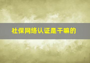 社保网络认证是干嘛的