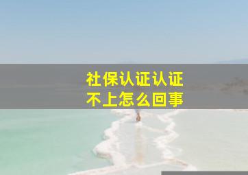 社保认证认证不上怎么回事