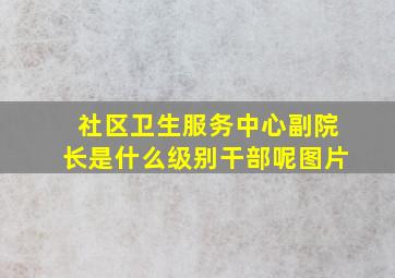 社区卫生服务中心副院长是什么级别干部呢图片