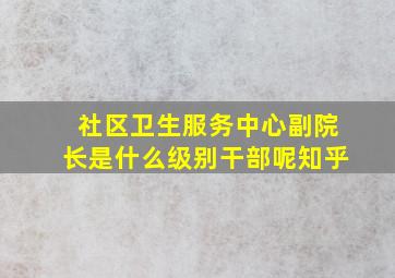 社区卫生服务中心副院长是什么级别干部呢知乎