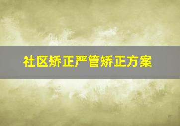 社区矫正严管矫正方案