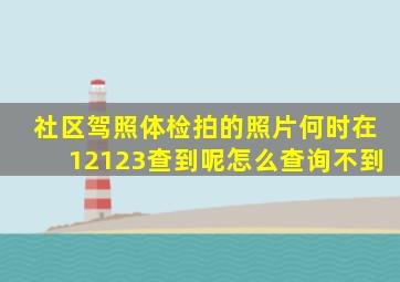 社区驾照体检拍的照片何时在12123查到呢怎么查询不到