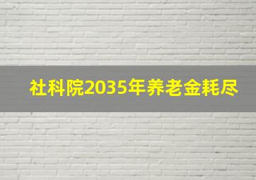 社科院2035年养老金耗尽