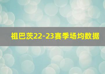 祖巴茨22-23赛季场均数据