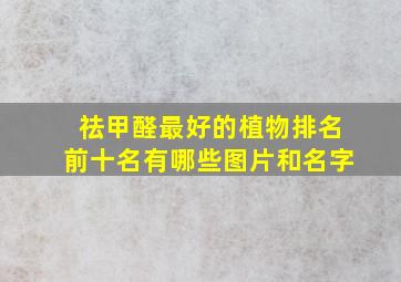 祛甲醛最好的植物排名前十名有哪些图片和名字