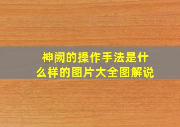 神阙的操作手法是什么样的图片大全图解说