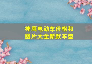 神鹰电动车价格和图片大全新款车型