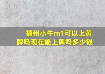 福州小牛m1可以上黄牌吗现在能上牌吗多少钱