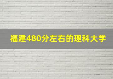 福建480分左右的理科大学