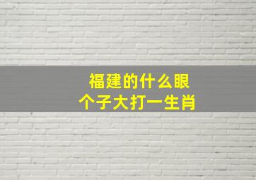 福建的什么眼个子大打一生肖